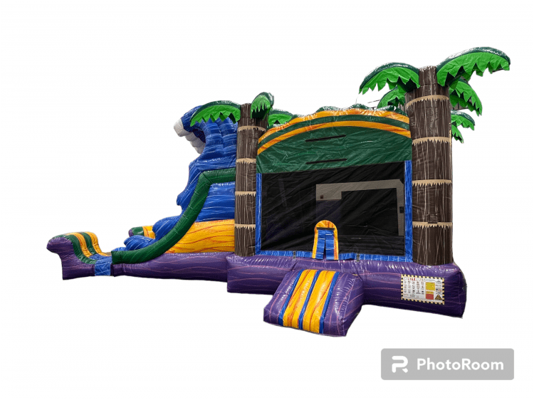 Bounce House With Slides Rentals