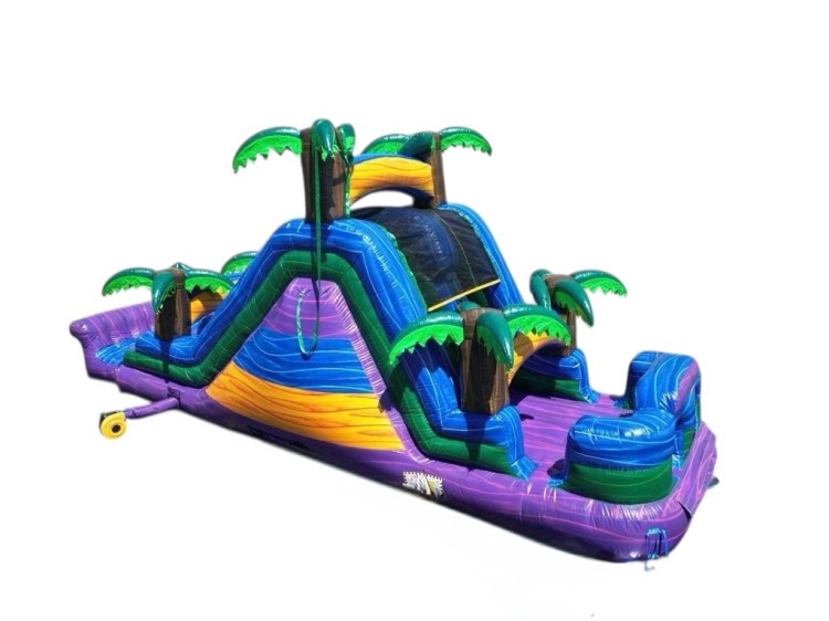 18ft Double Lane Dry Tropical Slide