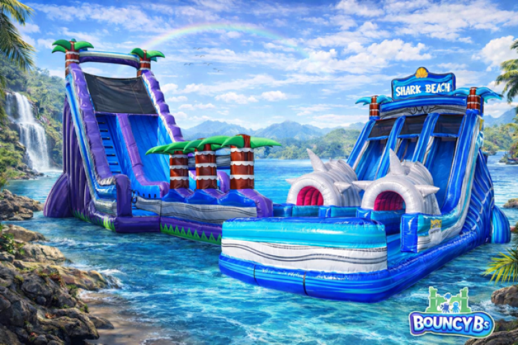 Water Slide Rentals Water Slide Rentals