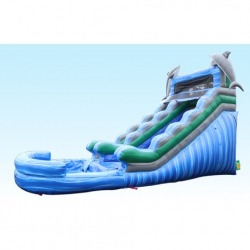 15ft Tall Dolphin Water Slide