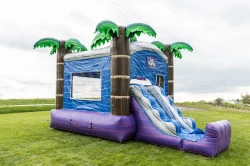 Blue Tropical dry Bounce House with slide