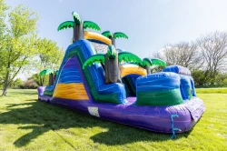 tropical double lane slide back 1778277206 18ft Tall Double Lane Tropical Water Slide